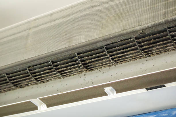 Best Air Duct Cleaning Near Me  in La Cienega, NM
