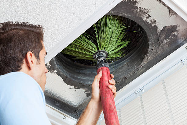 Best Home Air Vent Cleaning  in La Cienega, NM