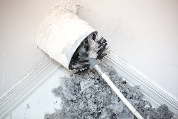 Best Air Duct Sanitizing Services  in La Cienega, NM
